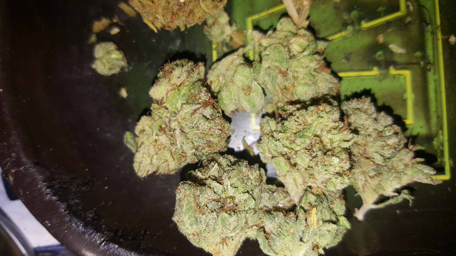 Extreme OG
