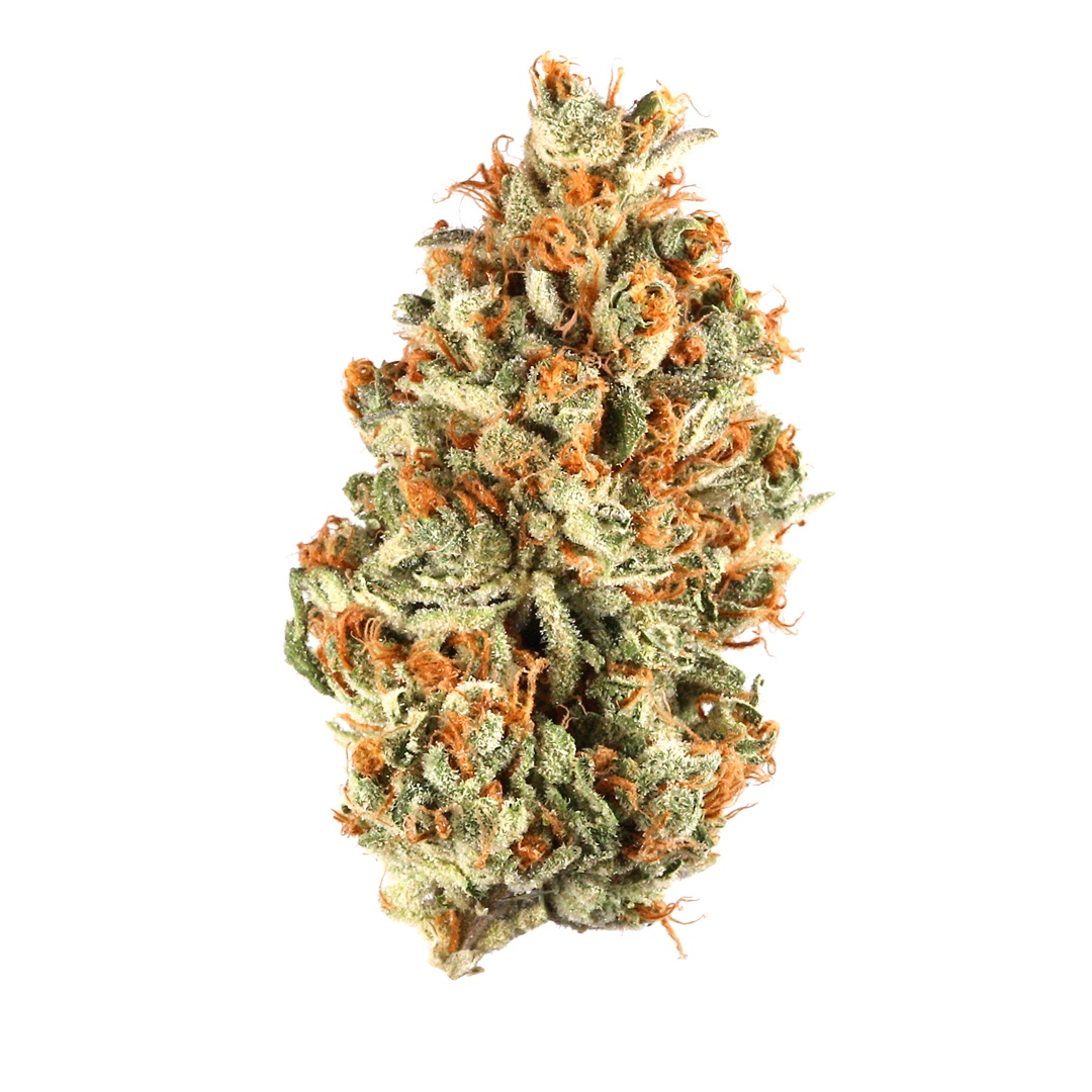 Falcon Berry