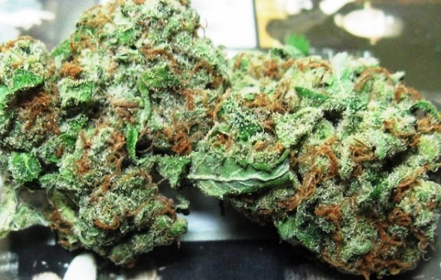 Fat Albert