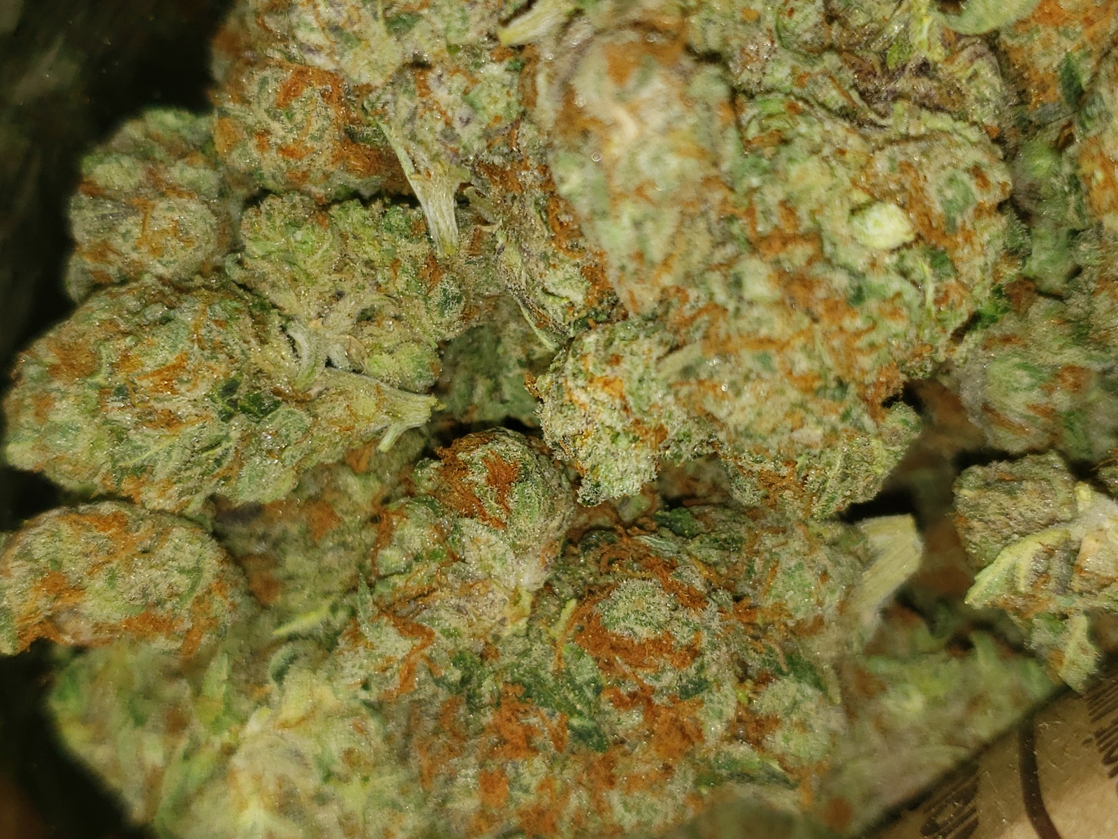 Fatso OG