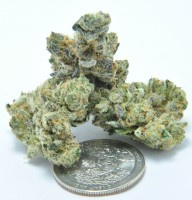 Fire Alien Kush