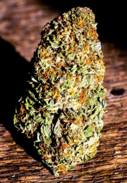 Fireweed
