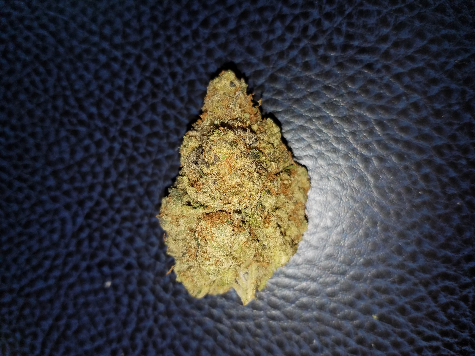 Fresh Frozen