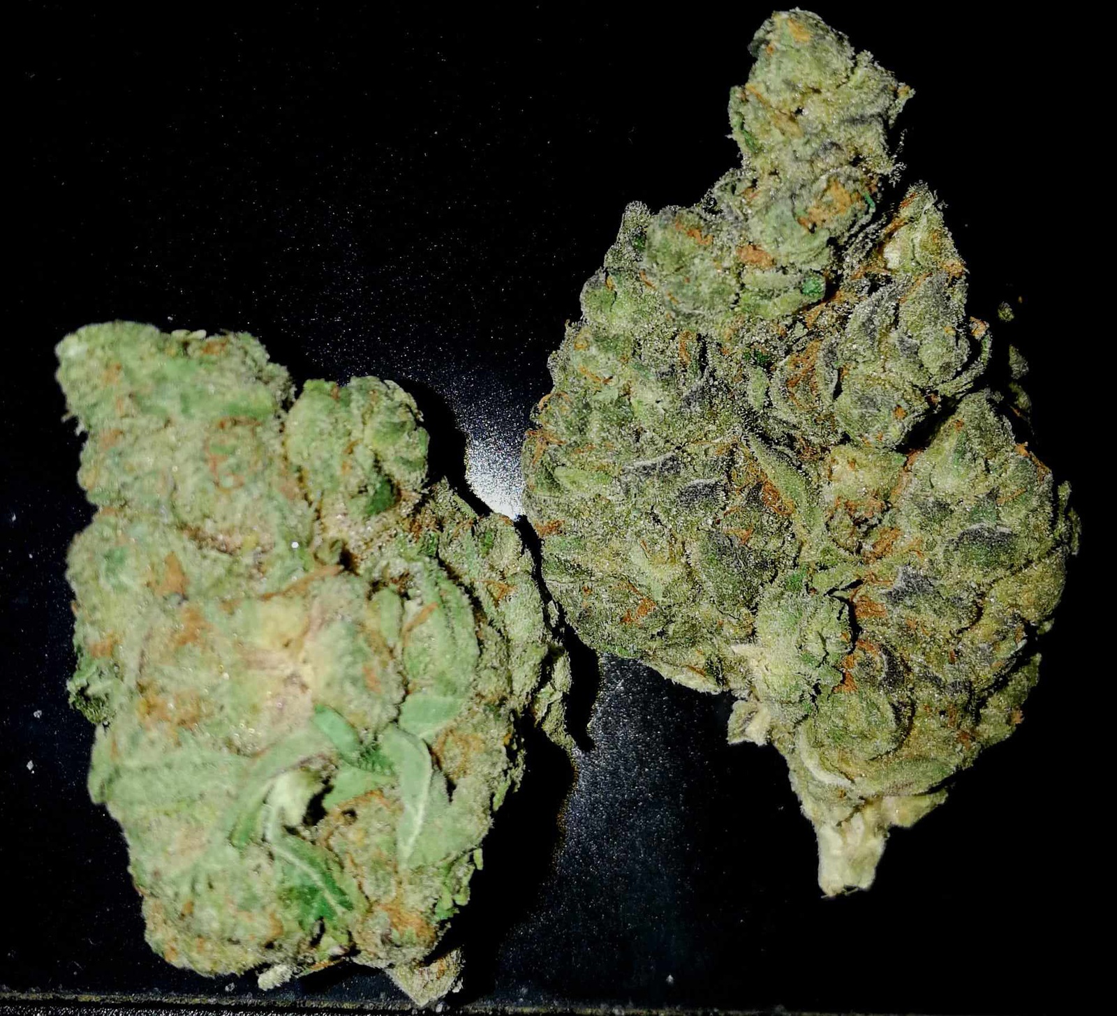 Fritter Mints