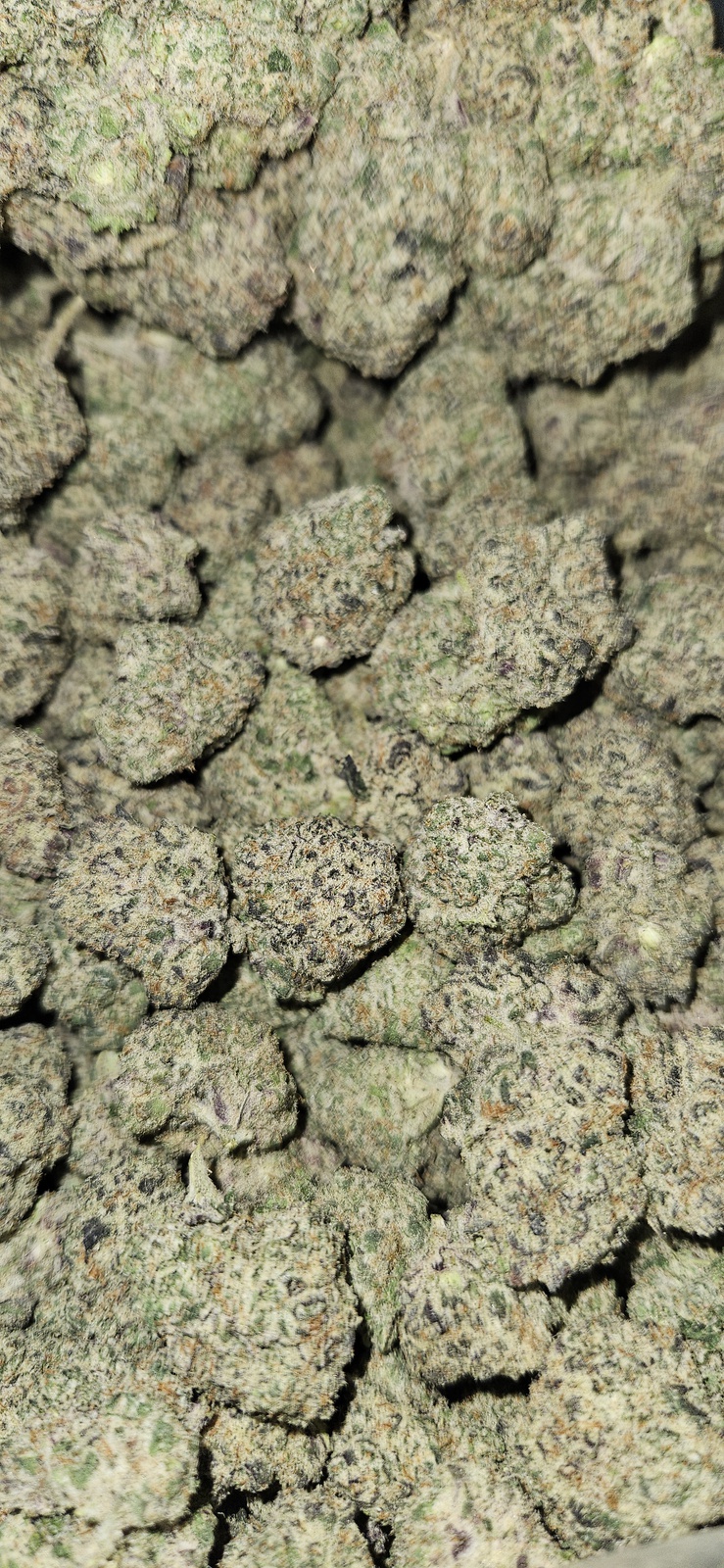 Frosted Biscotti