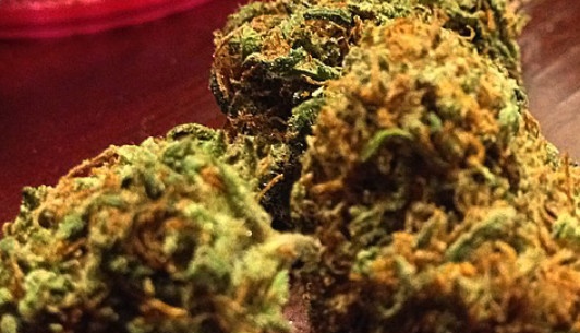 Fruit Punch Kush