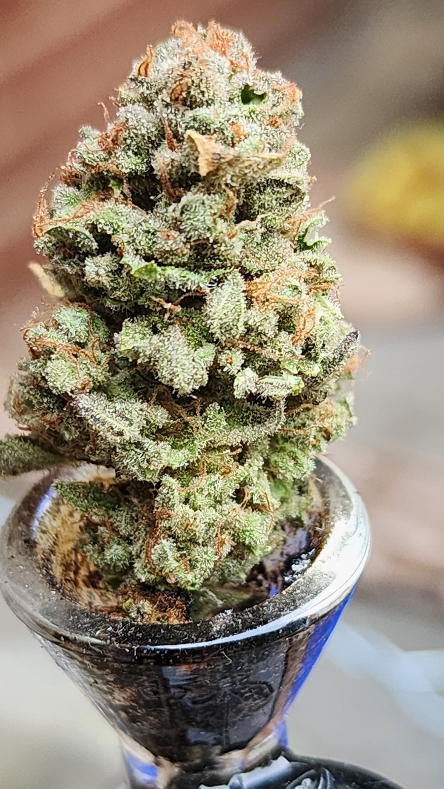 Fruity Pebbles OG