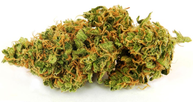 Fruity Punch