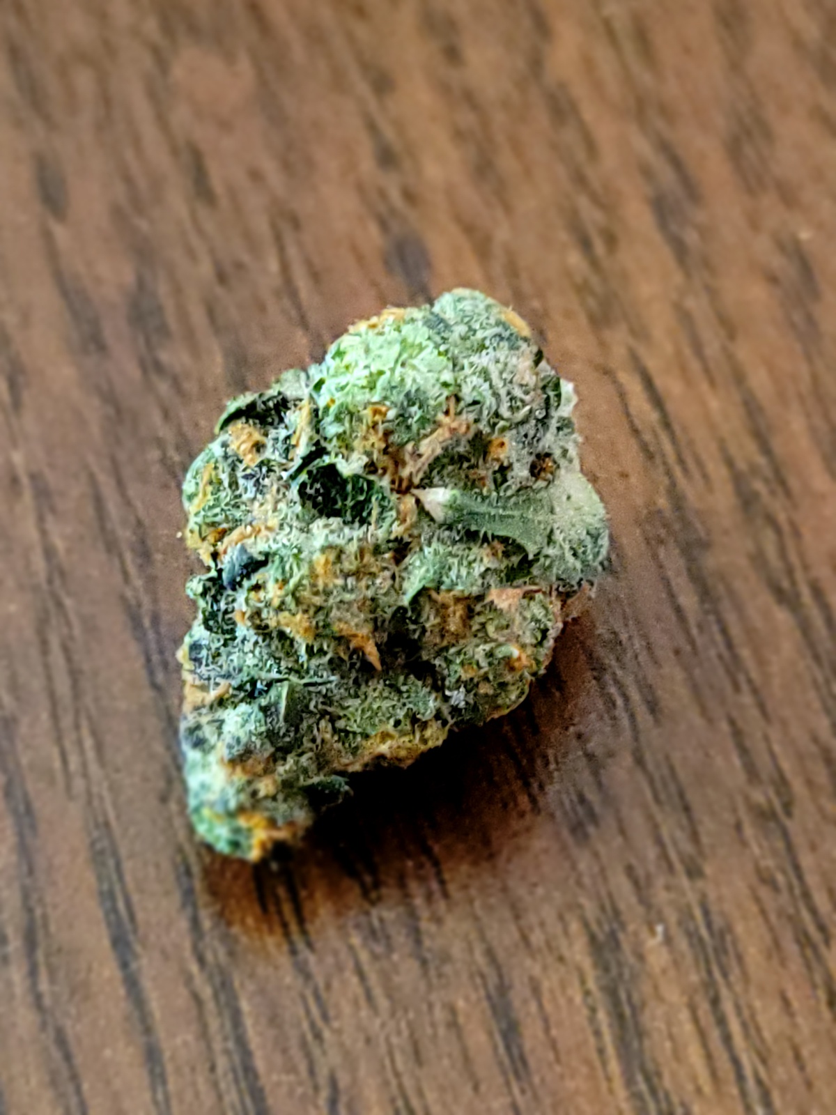 The Funk