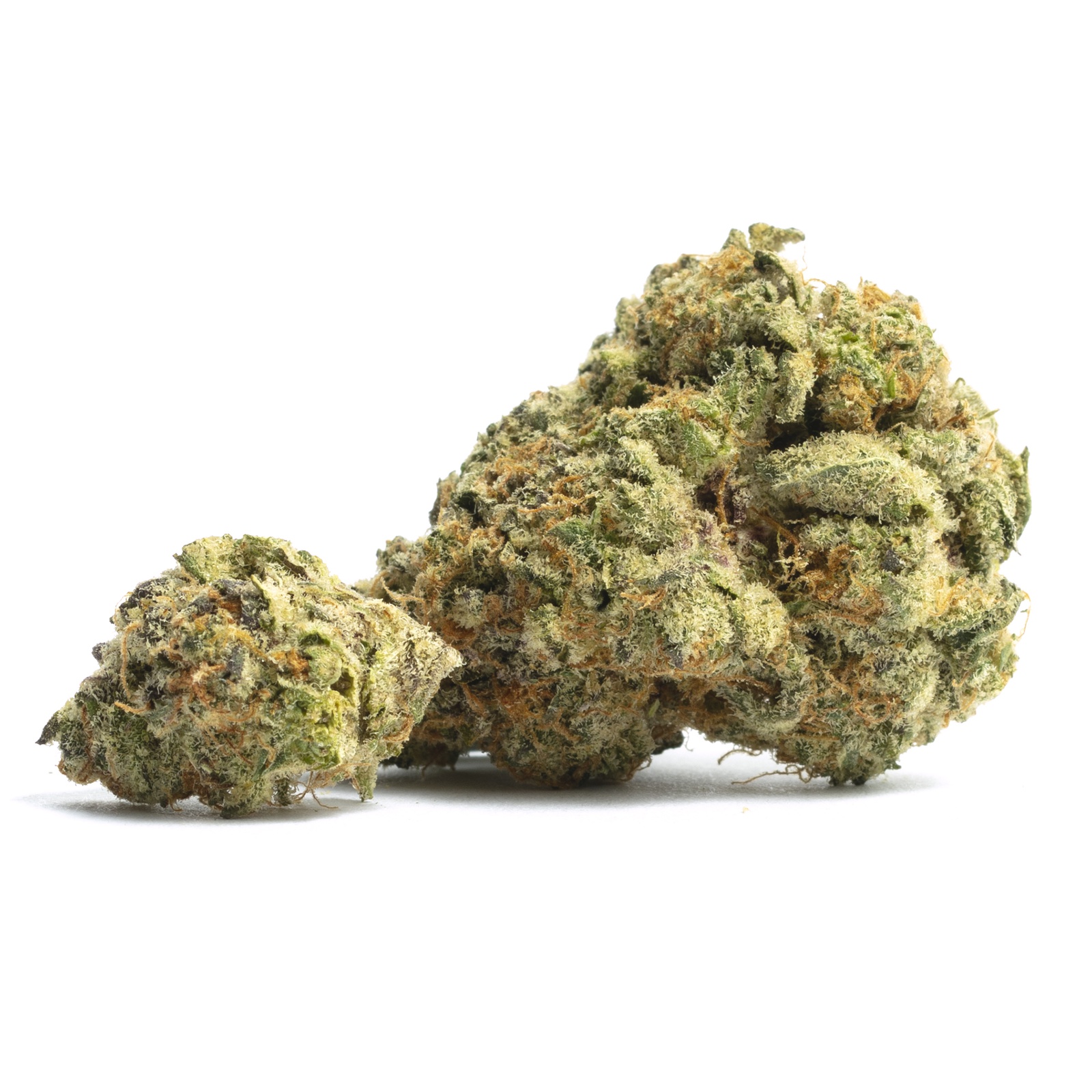 Funky Monkey