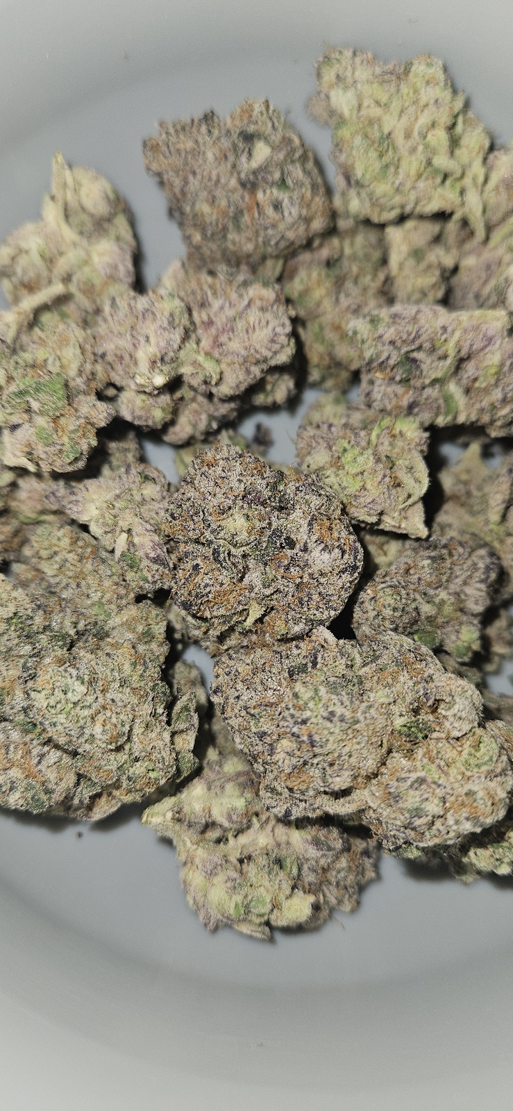 G6