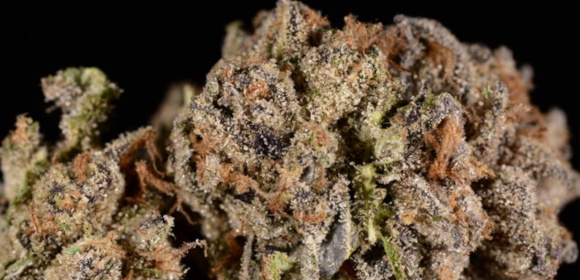 Galactic Cherry