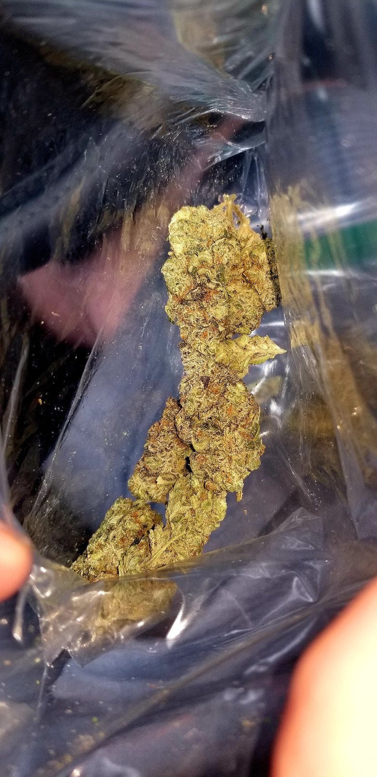 Galactic Glue