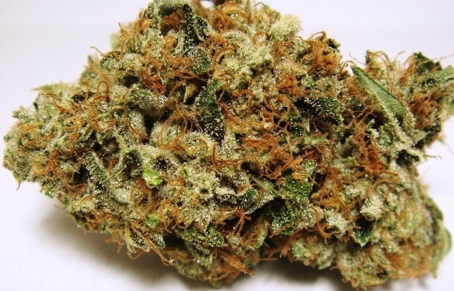 Gandalf OG
