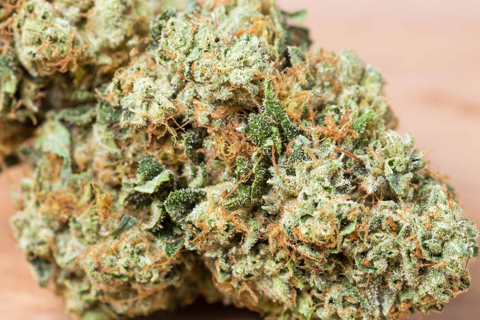 Ganesh Og