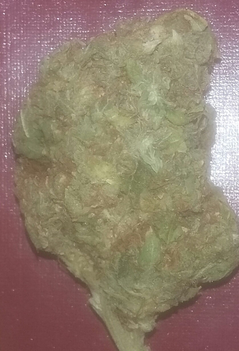 Ganja Farmer