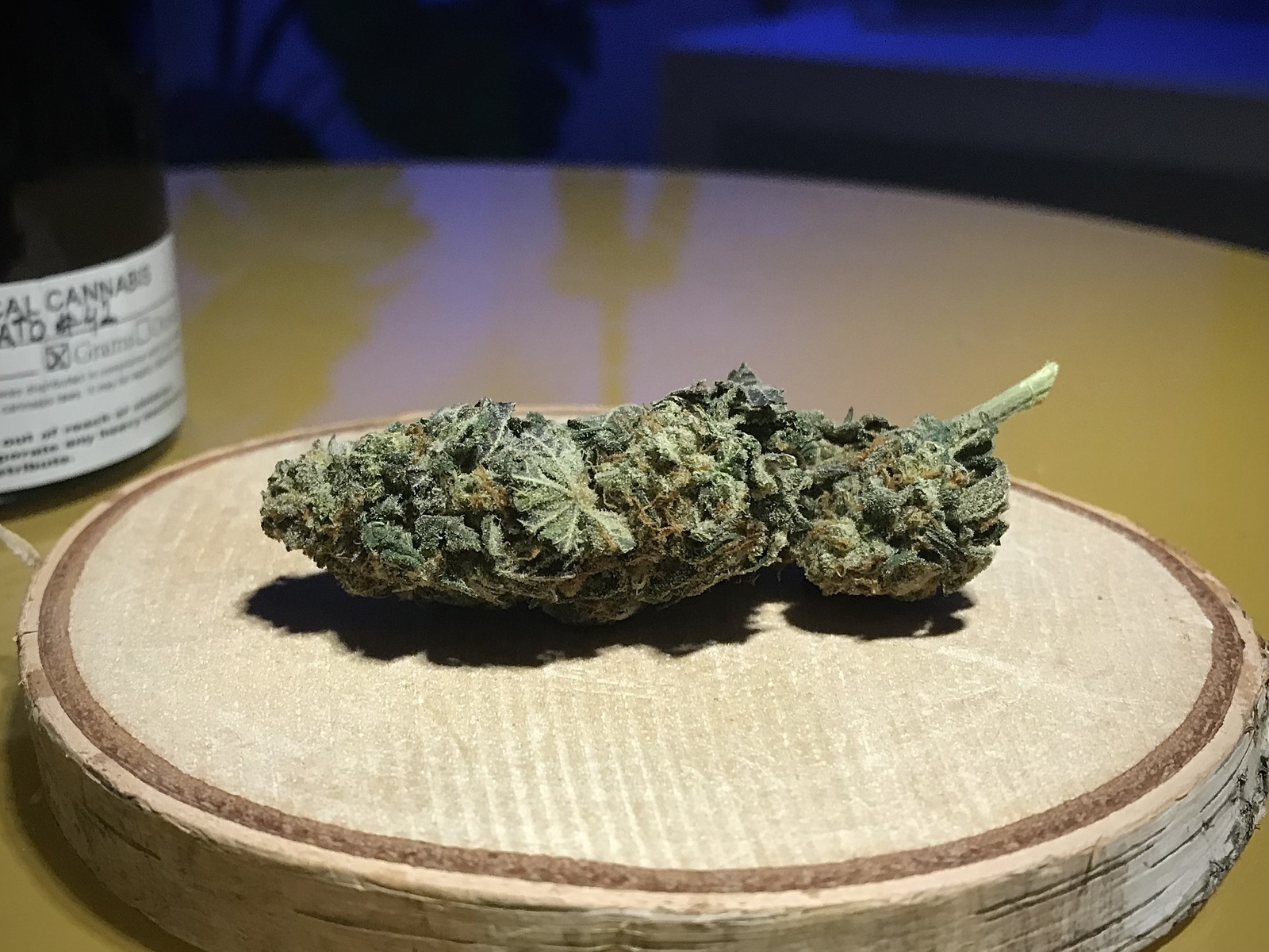 Gelato 42