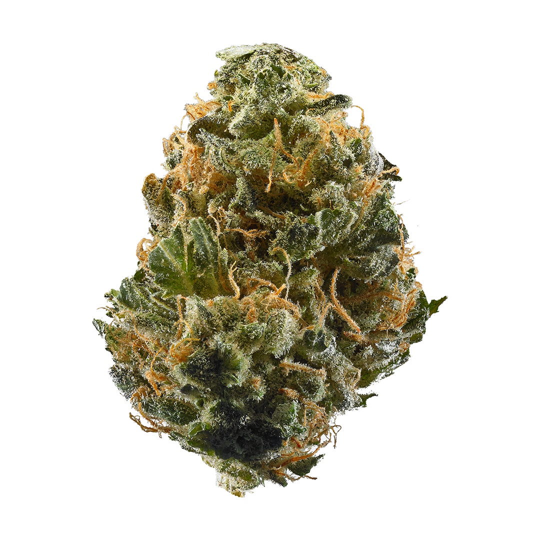 Gelato Dosi
