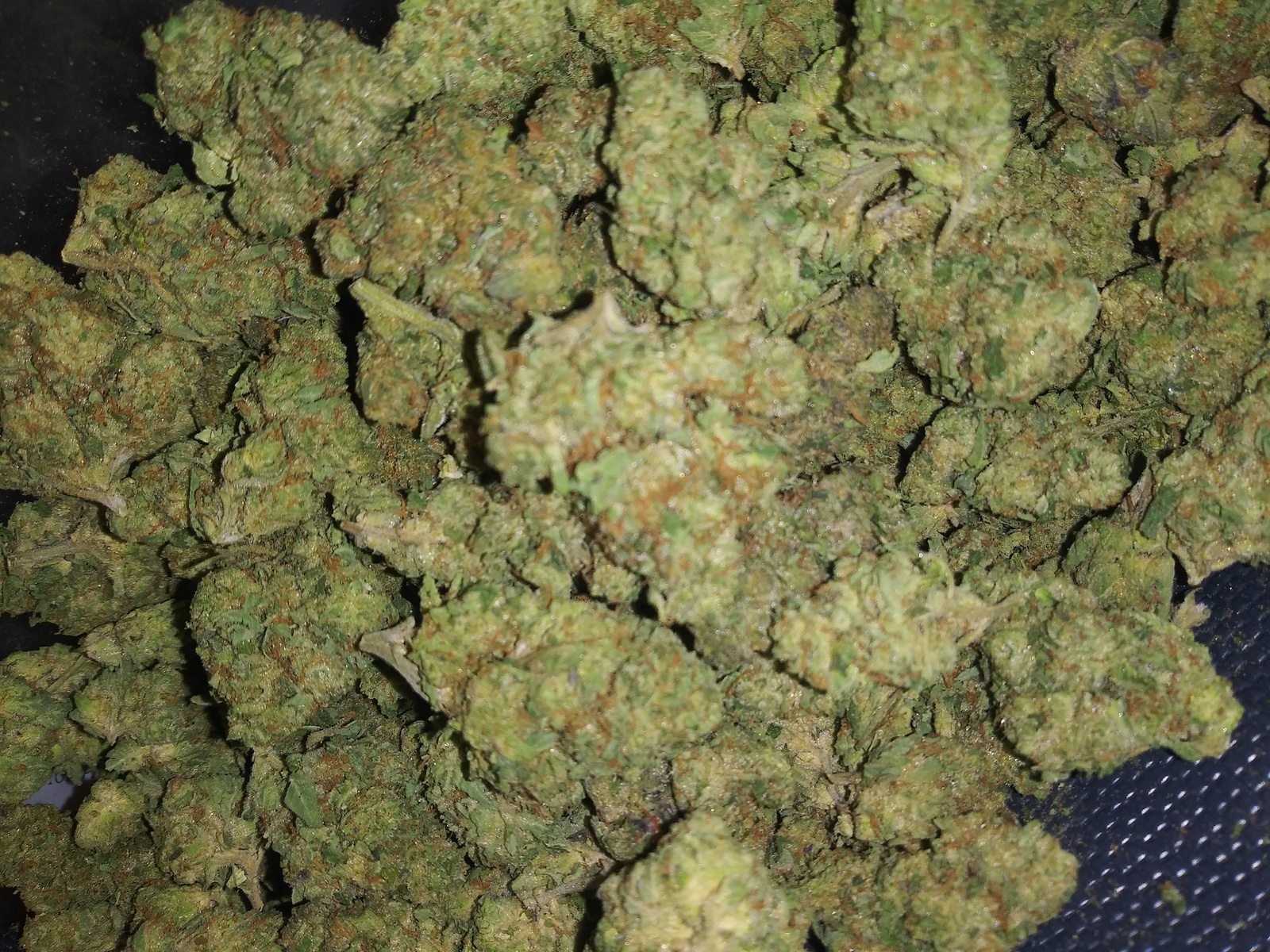Gelato Glue