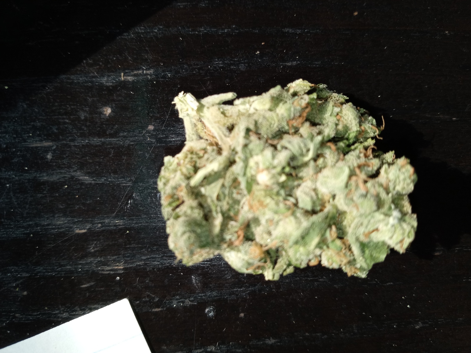 Glucifer