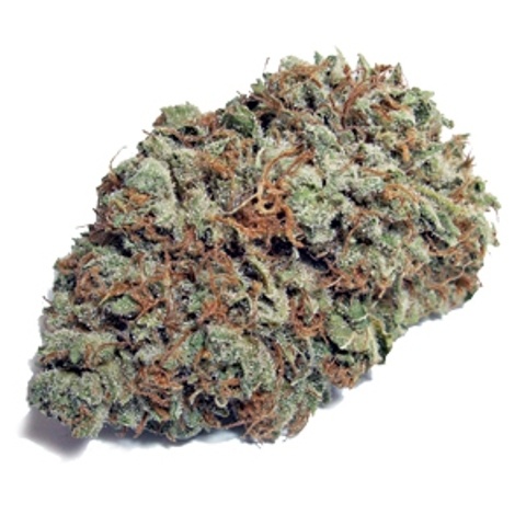 Gold Coast Candy OG
