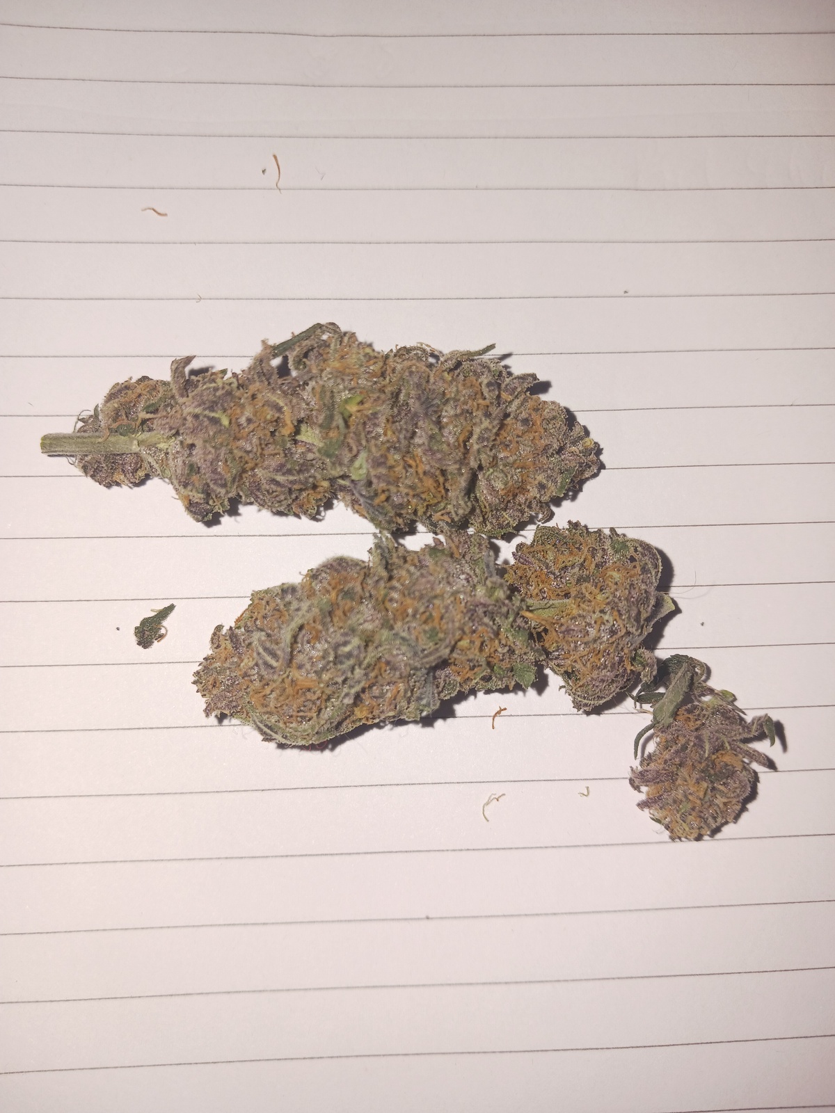 Goo Berry