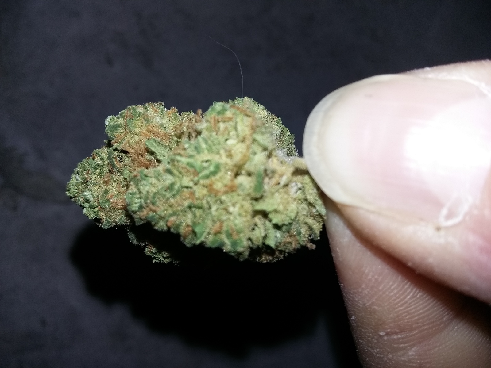 Good Medicine