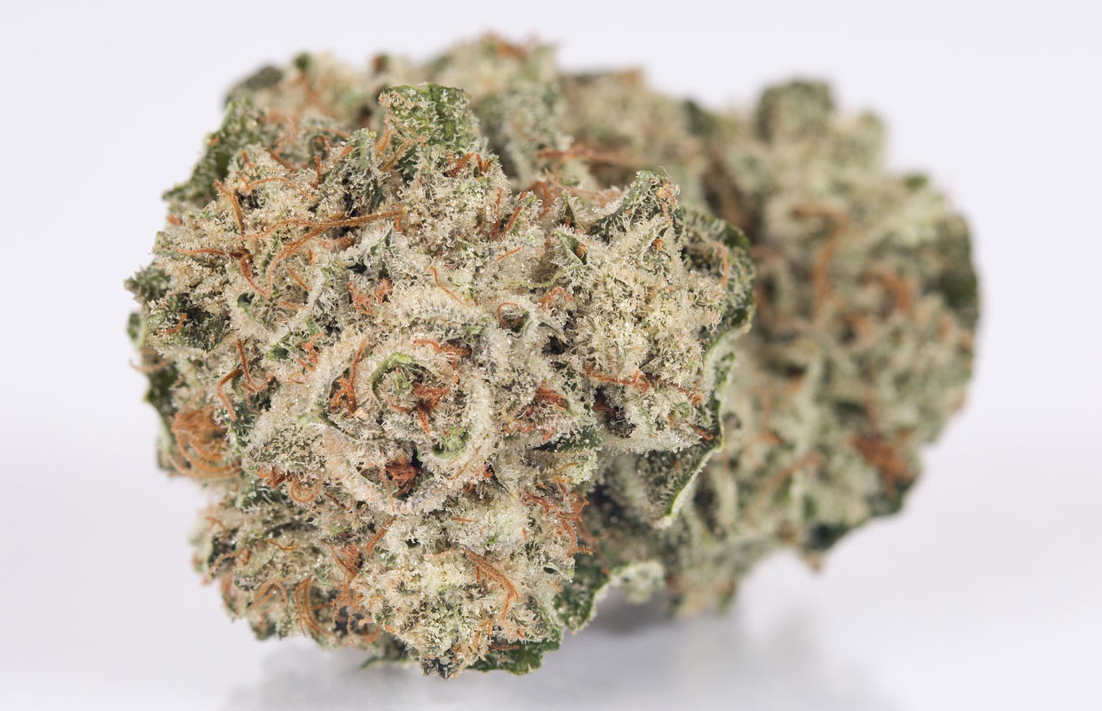 Gorilla Chem