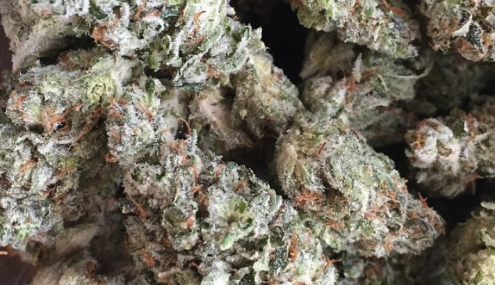 Gorilla Glue #4