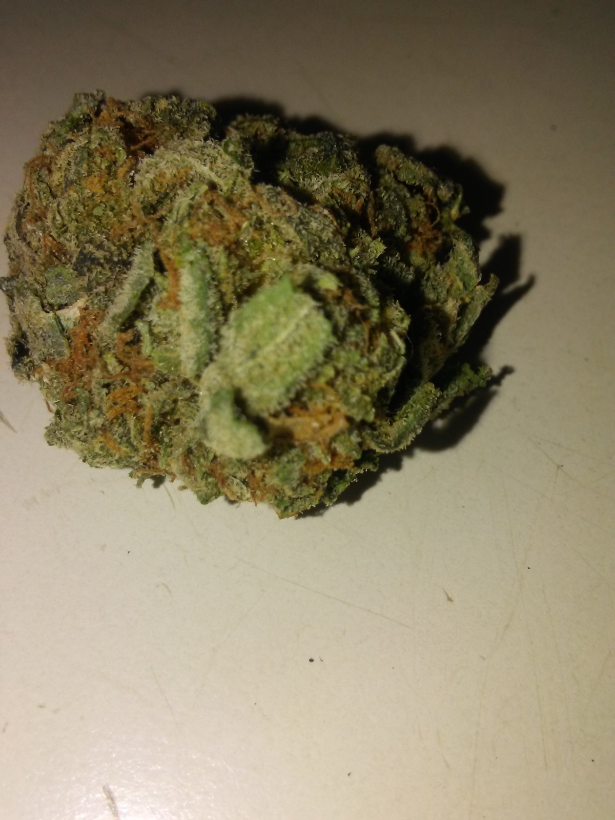Gorilla Glue #5