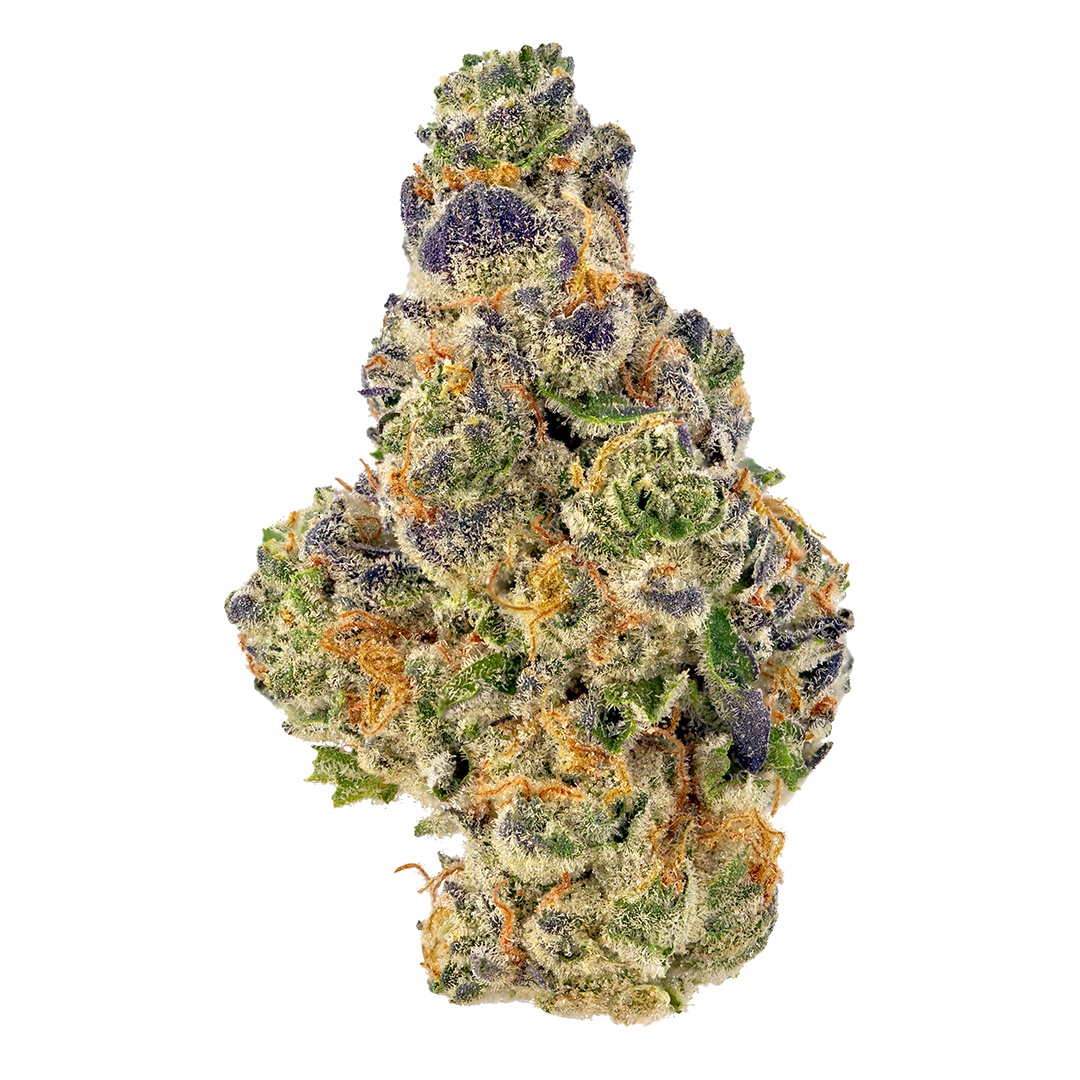 Gorilla Nut