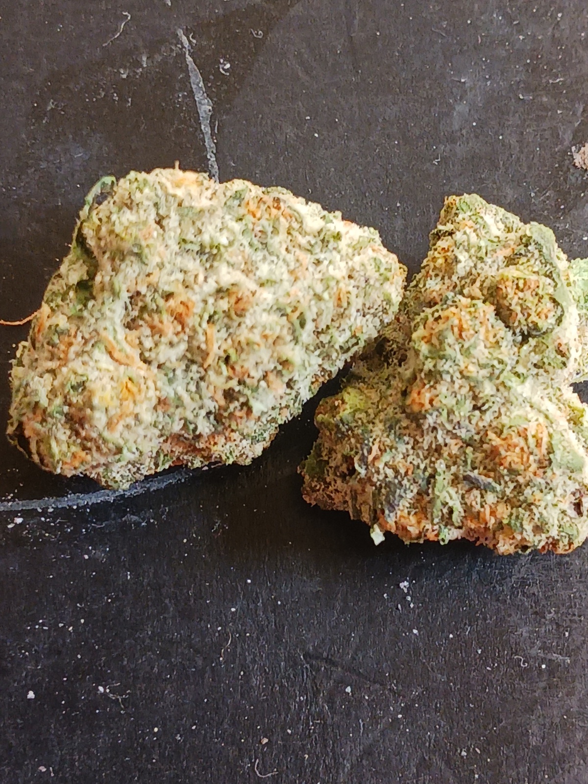 Gorilla Snacks!