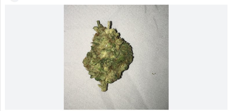Gran Flora