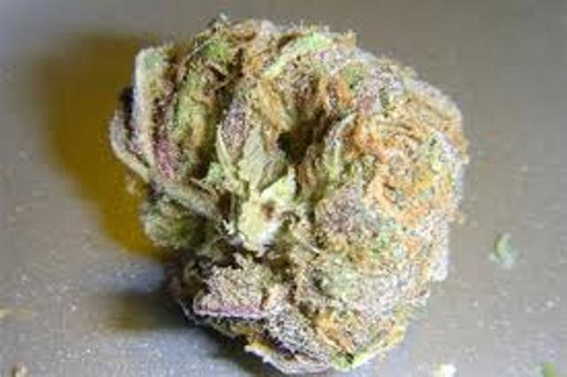 Grand Daddy Purp X Grape Gorilla