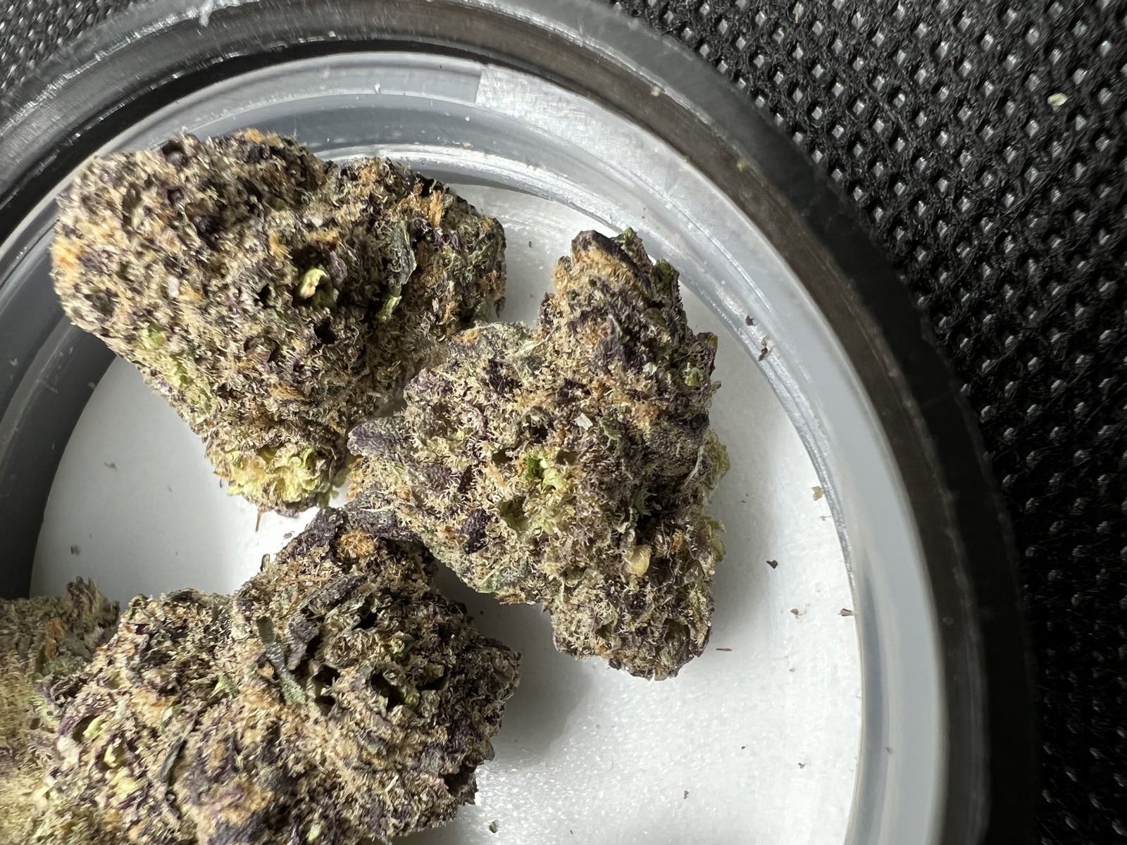 Grand Doggy Purps