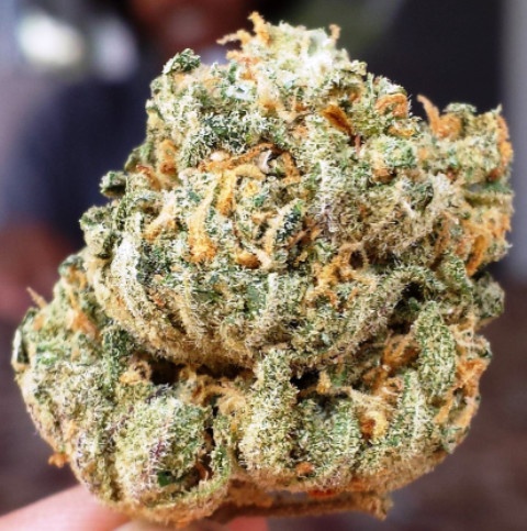 Grandaddy Crack