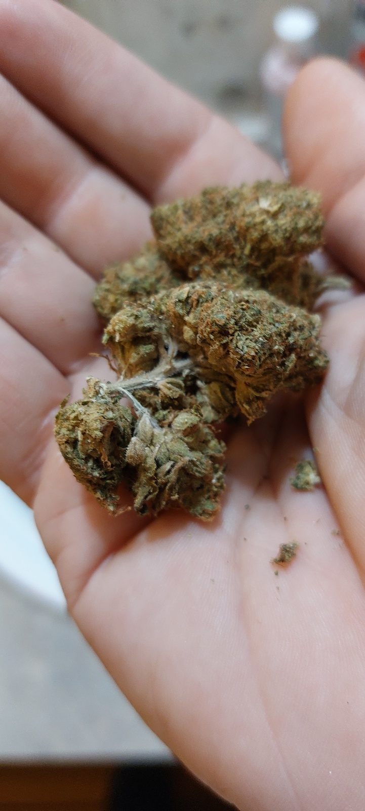 Granddaddy OG