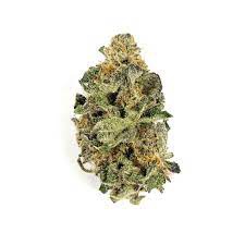 Grape Animal