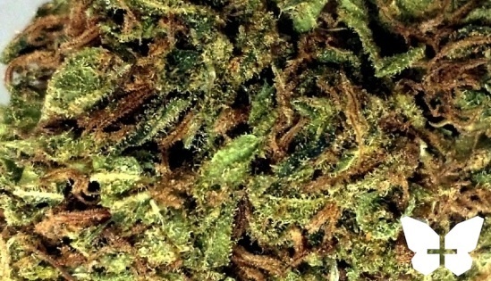 Grape Crush