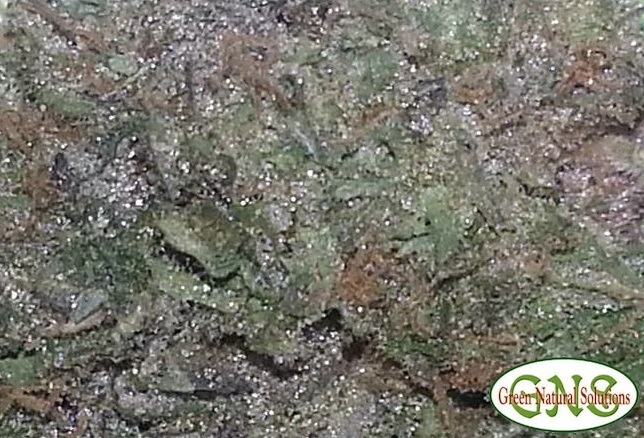 Grape Diesel