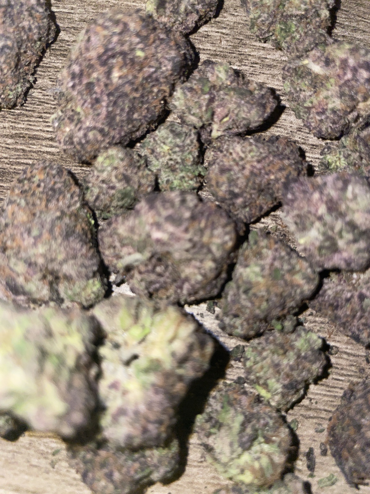 Grape Goji