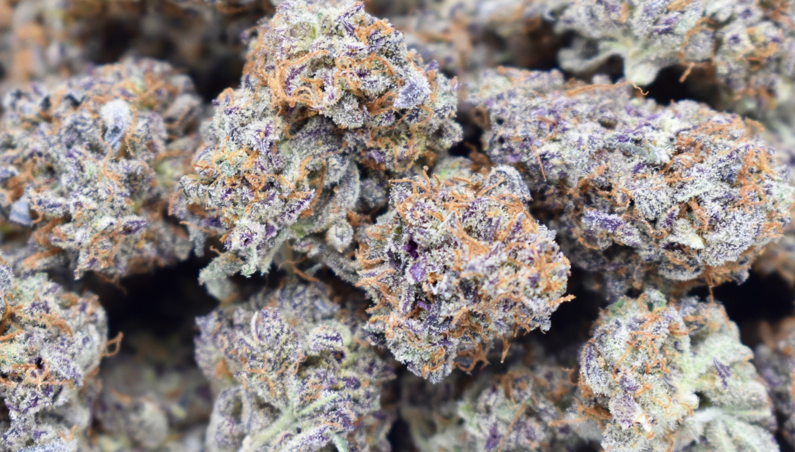 Grape Grenade