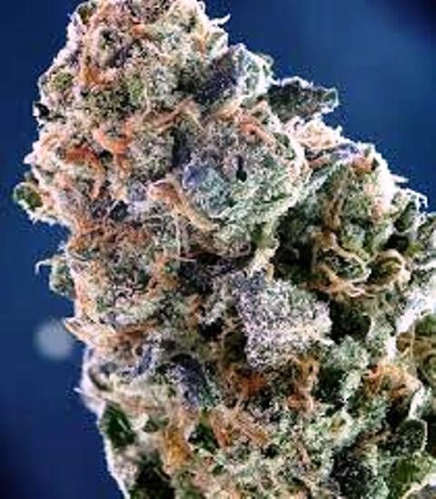 grape inferno