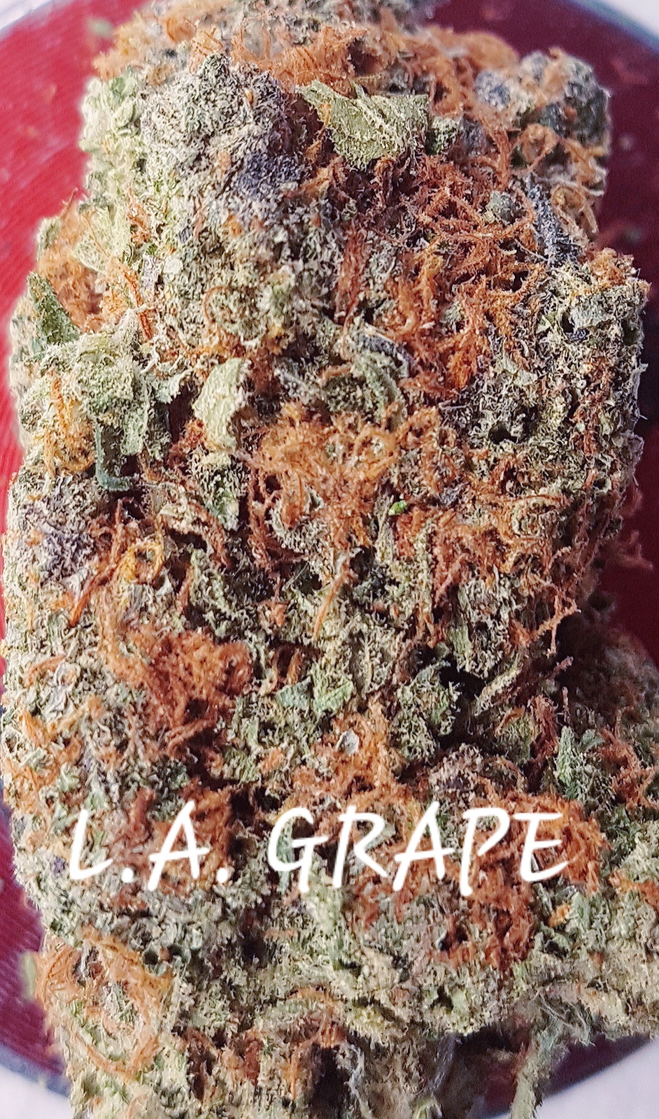 Grape L.A.