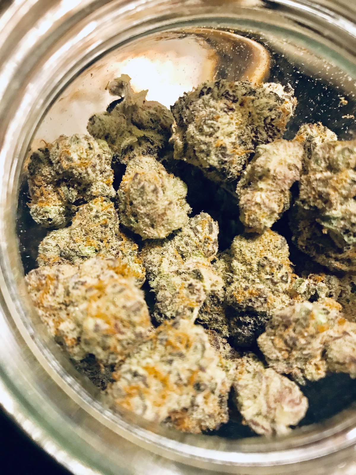 Grape Romulan