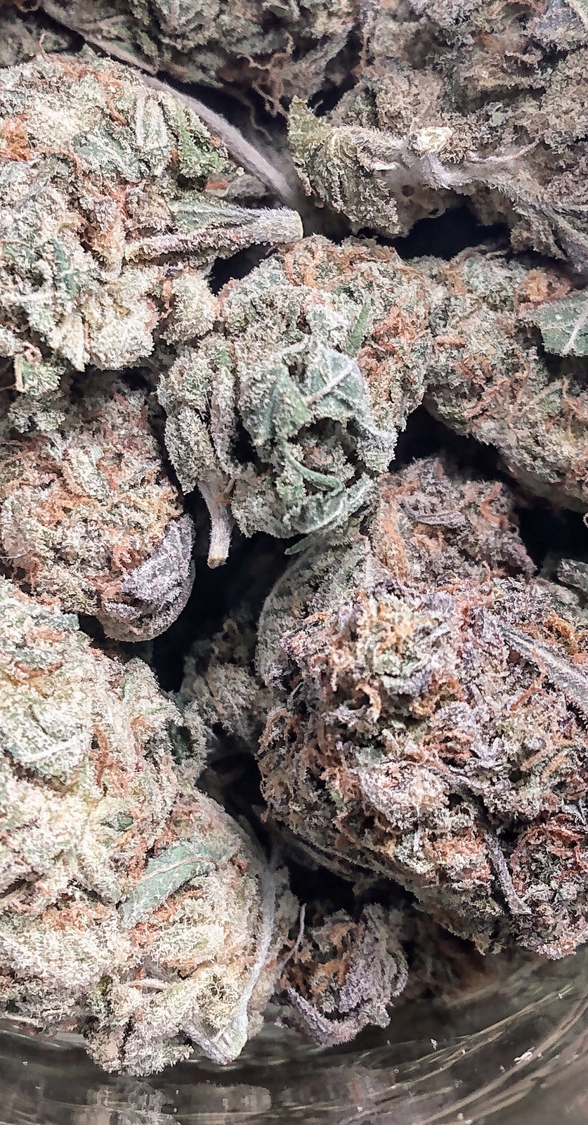 Grape Stomper x Sour Candy