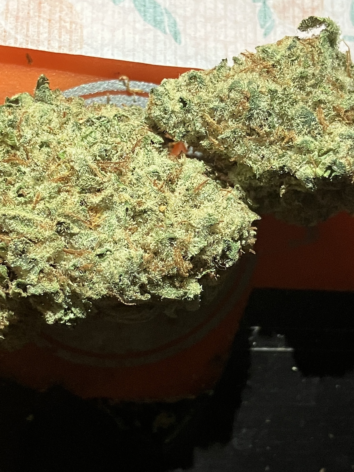 Grape Topanga