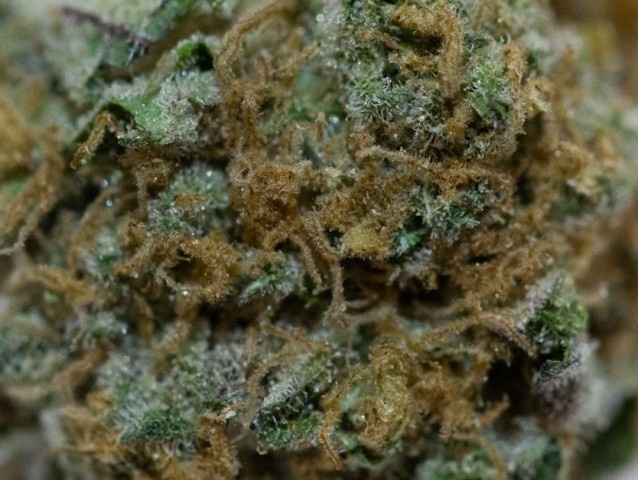 Grape Wreck