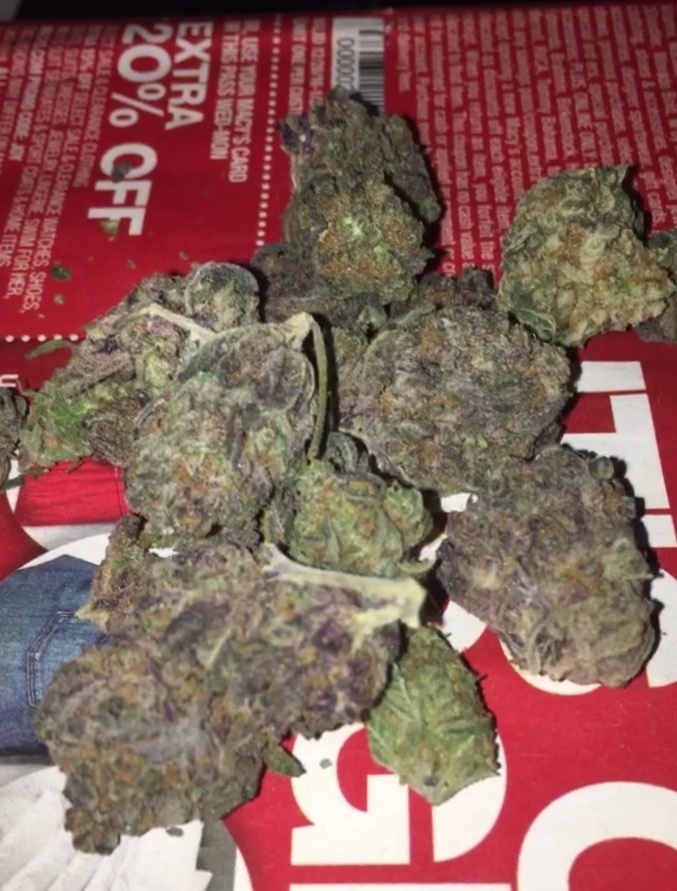 grapefruit blaze