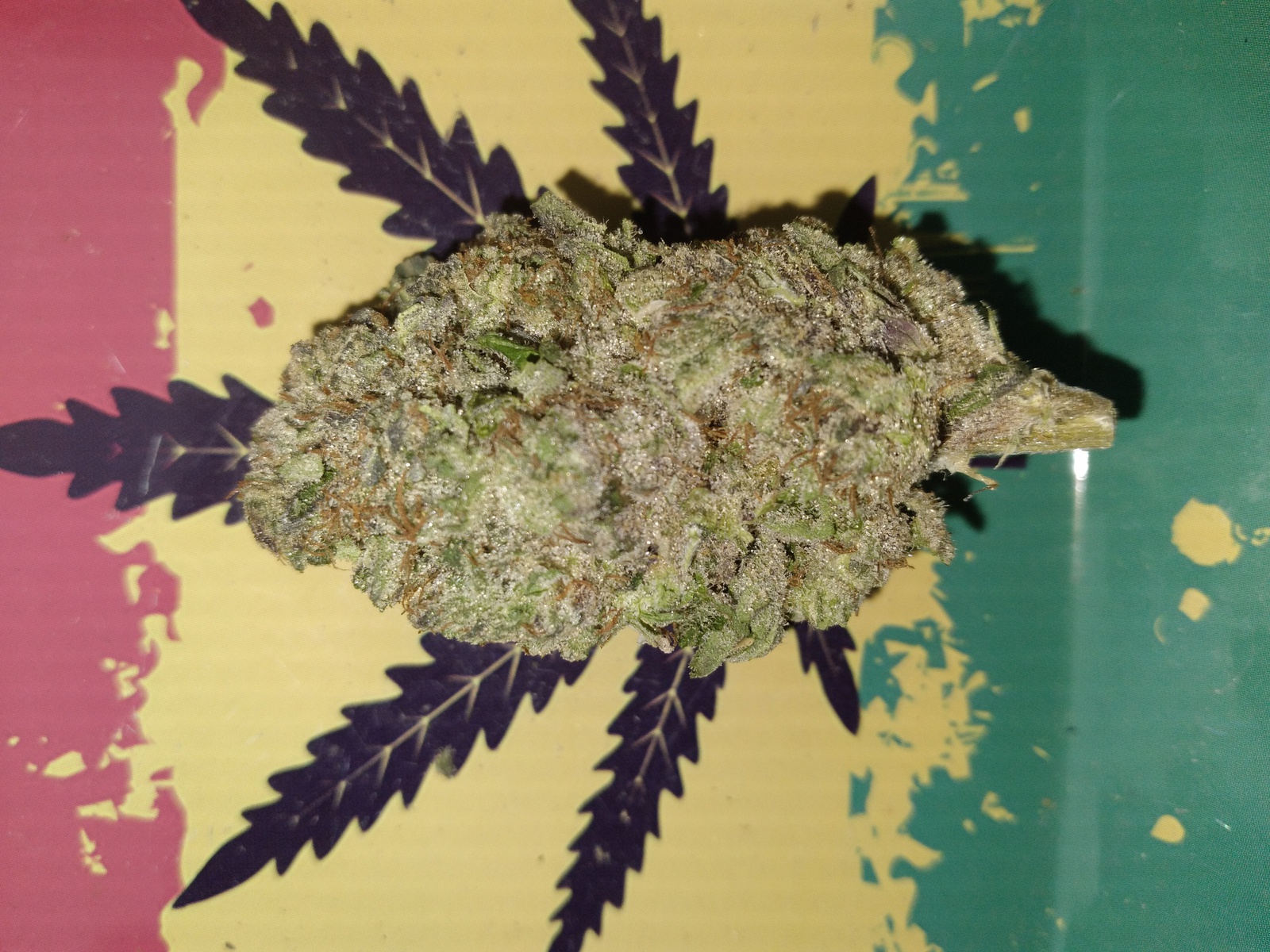 Grapeology
